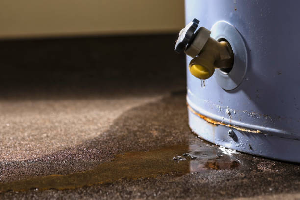 Best 24-hour water damage restoration  in Inglewood, CA