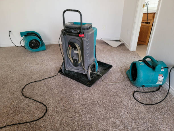 Best Local water damage restoration  in Inglewood, CA