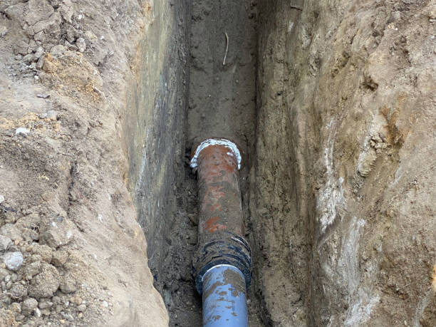 Best Basement water damage restoration  in Inglewood, CA