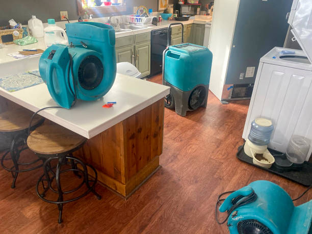 Best Mold removal after water damage  in Inglewood, CA