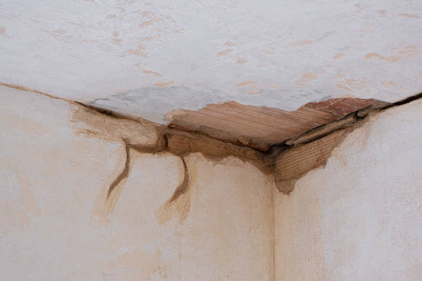 Best Basement water damage restoration  in Inglewood, CA