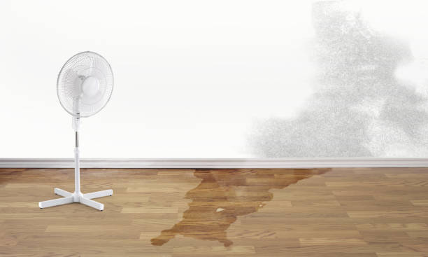 Best Water damage contractors near me  in Inglewood, CA