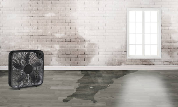 Best Emergency water damage restoration  in Inglewood, CA