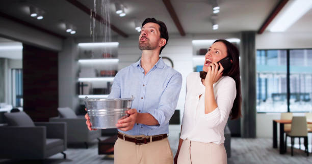 Best Water damage cleanup near me  in Inglewood, CA