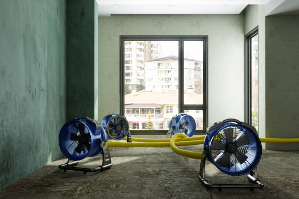 Best Ceiling water damage repair  in Inglewood, CA